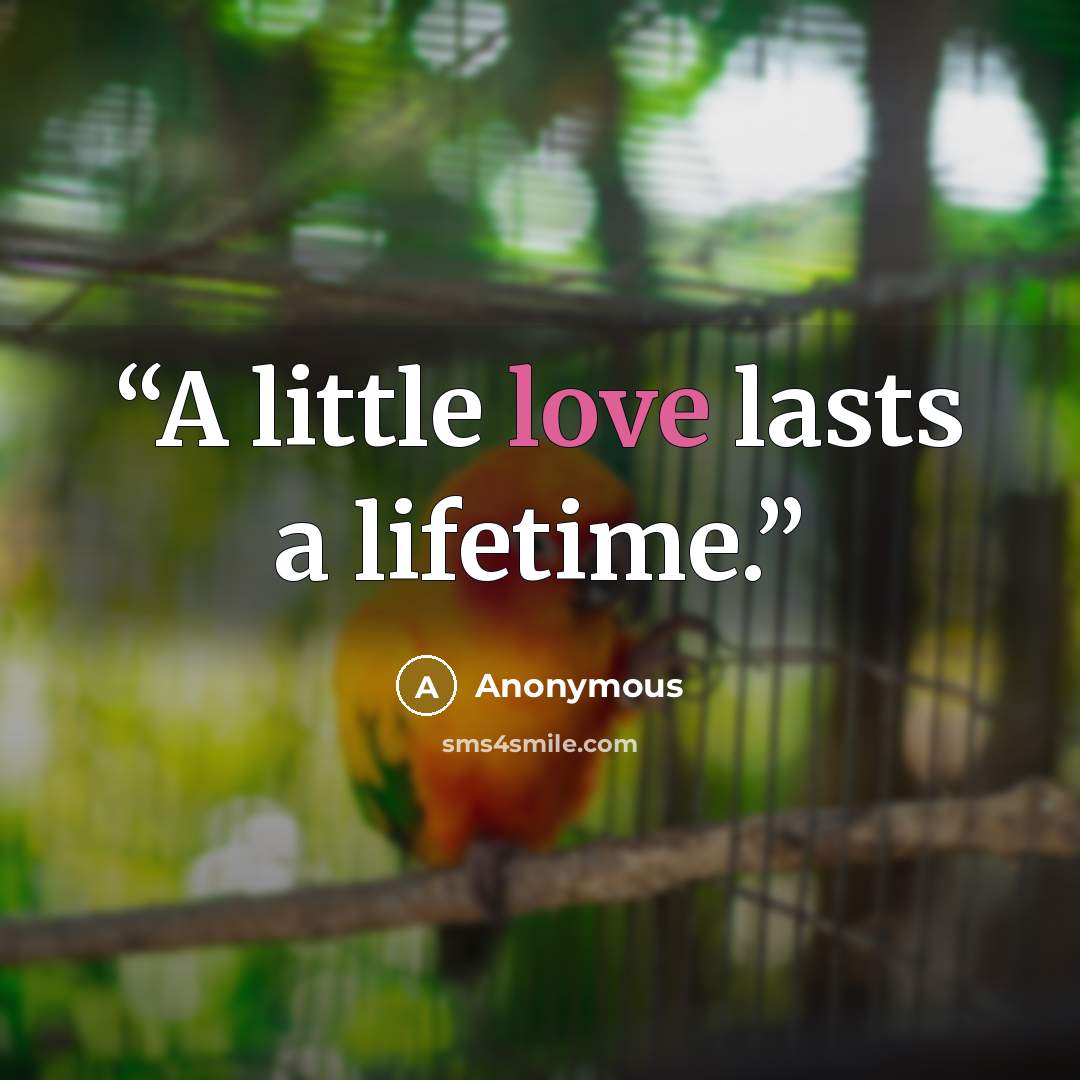 “A little love lasts a lifetime.” quote by Anonymous