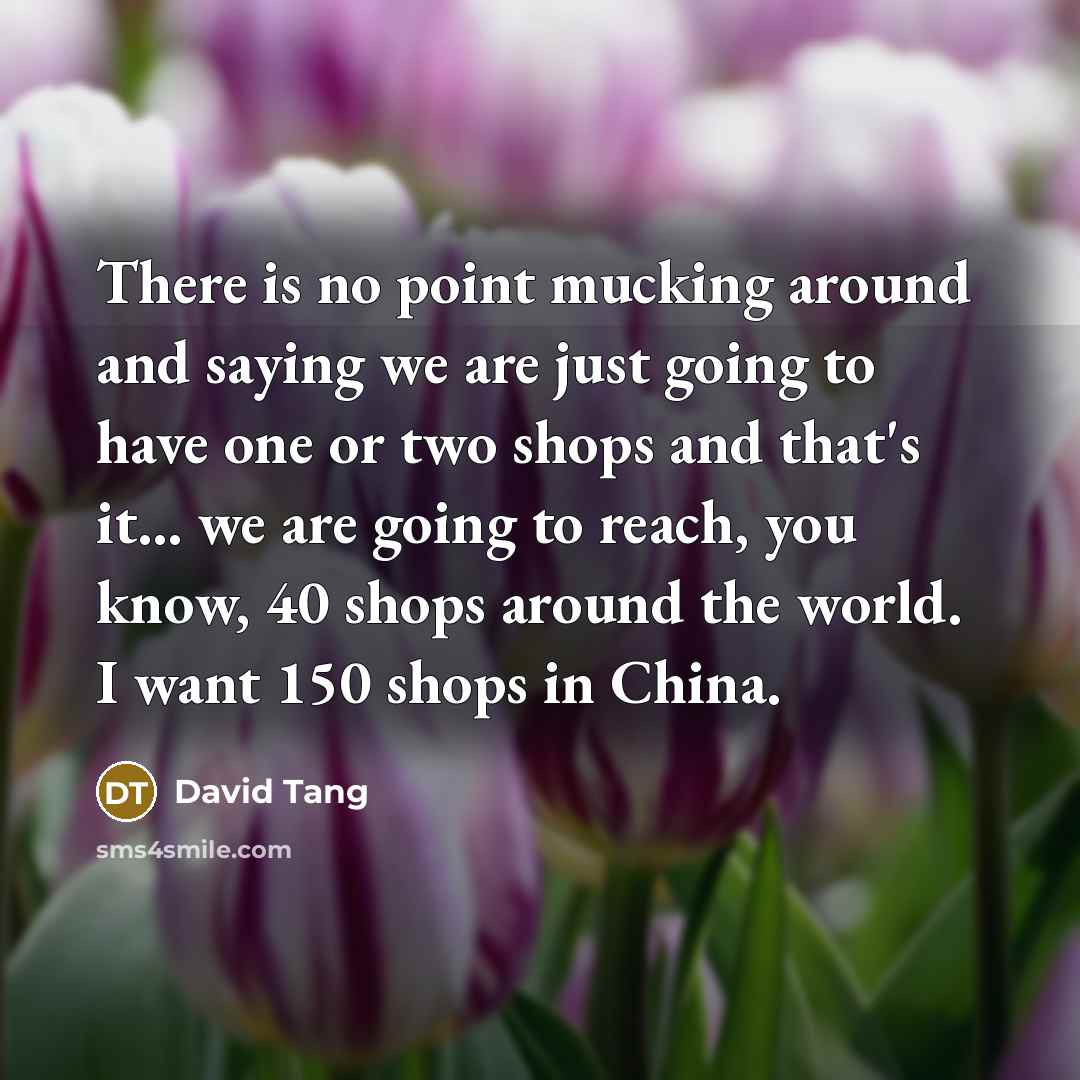 “There is no point mucking around and saying we are…” quote by David Tang