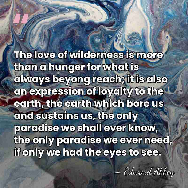 The love of wilderness is more than a hunger for what is&hellip; - Edward Abbey