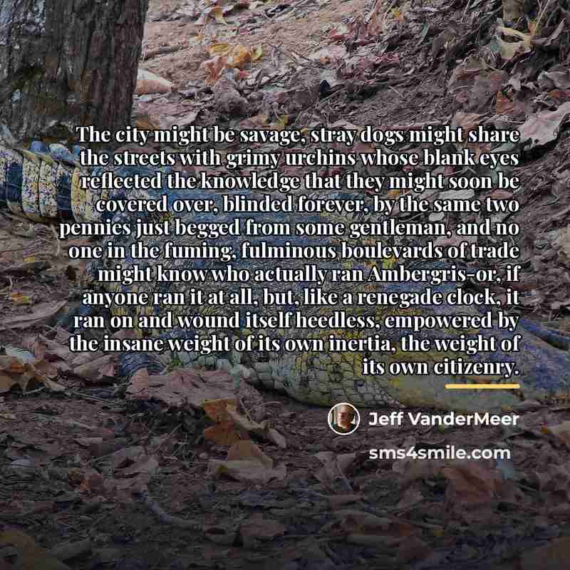 “The city might be savage, stray dogs might share the…” quote by Jeff VanderMeer