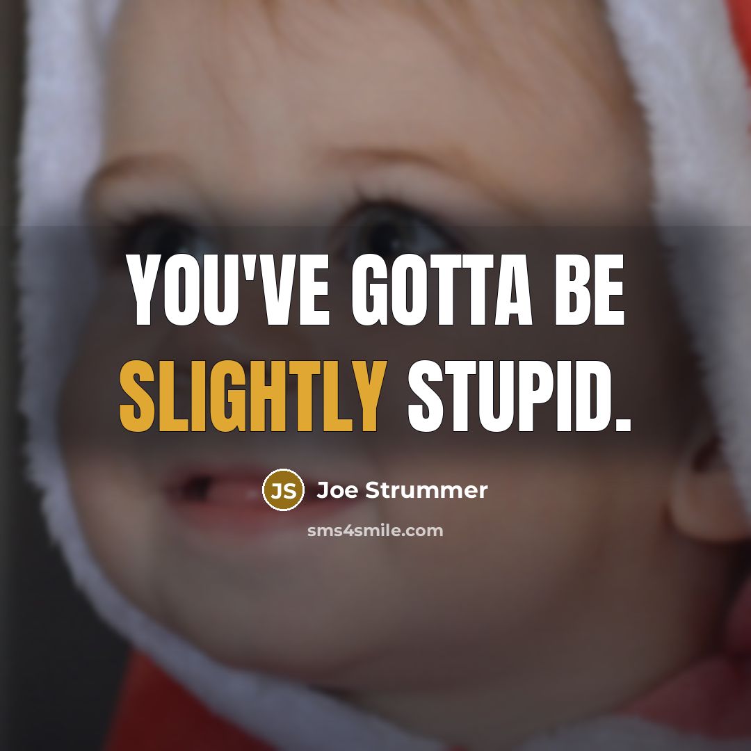 “You've gotta be slightly stupid.” quote by Joe Strummer