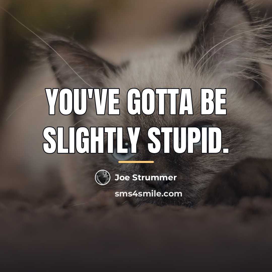 “You've gotta be slightly stupid.…” quote by Joe Strummer