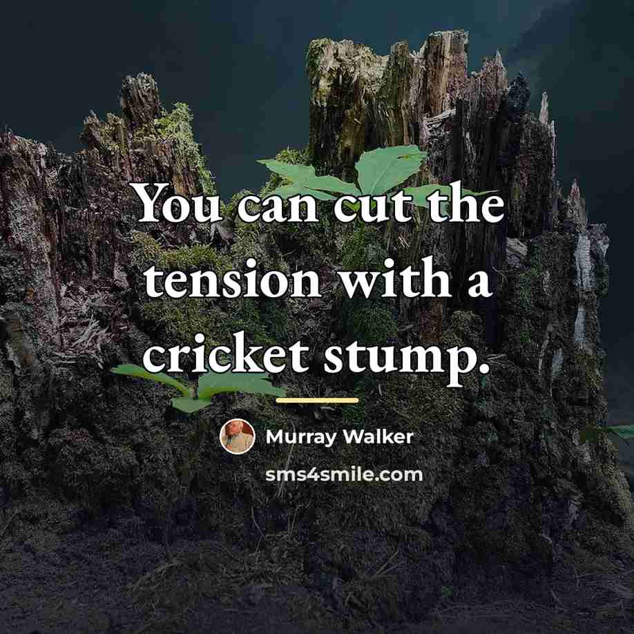 “You can cut the tension with a cricket stump.…” quote by Murray Walker