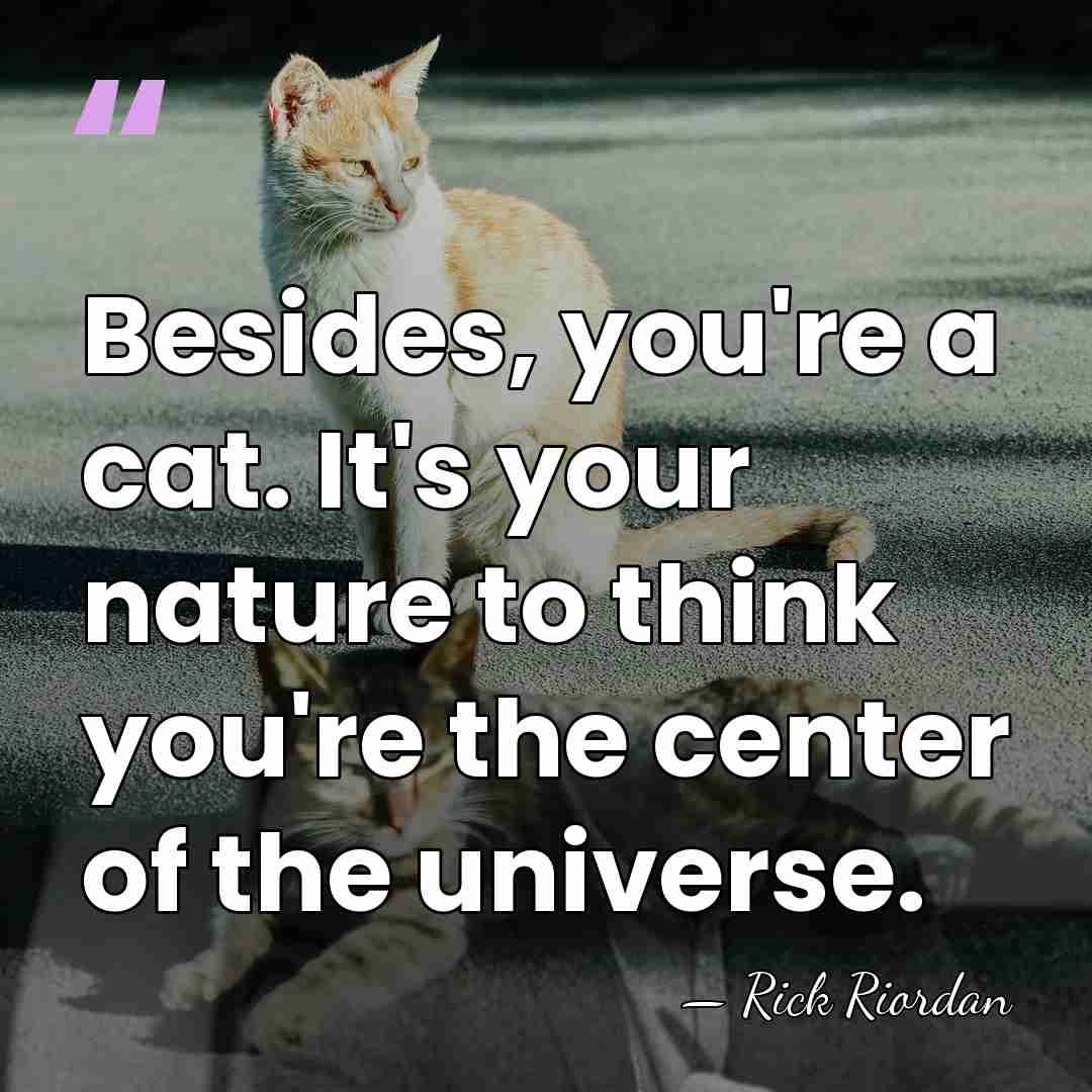 Besides, you're a cat. It's your nature to think you're the center&hellip; - Rick Riordan