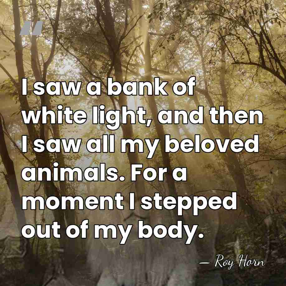 I saw a bank of white light, and then I saw all&hellip; - Roy Horn