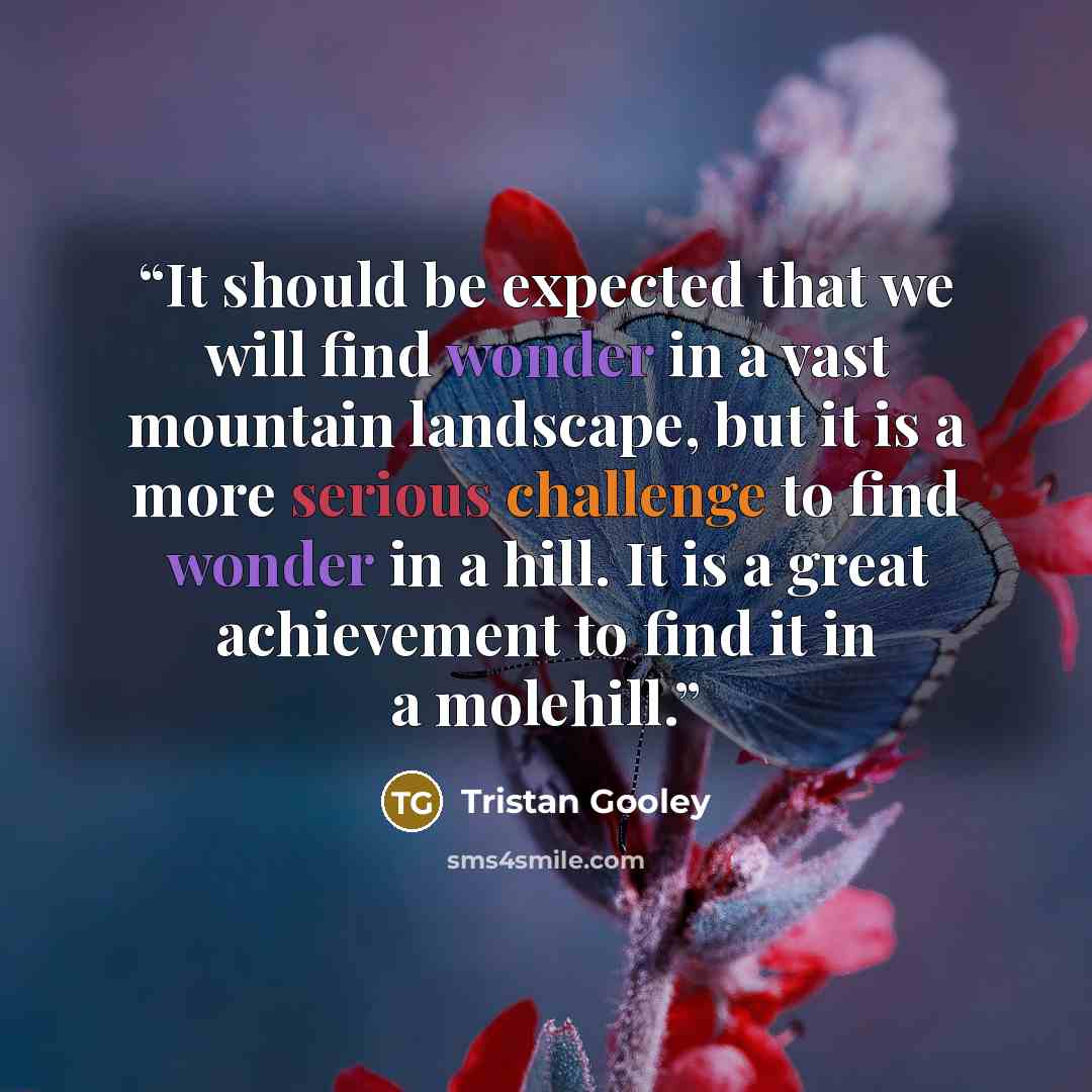 “It should be expected that we will find wonder in a vast mountain landscape, but it is a more serious challenge to find wonder in a hill. It is a great achievement to find it in a molehill.” quote by Tristan Gooley