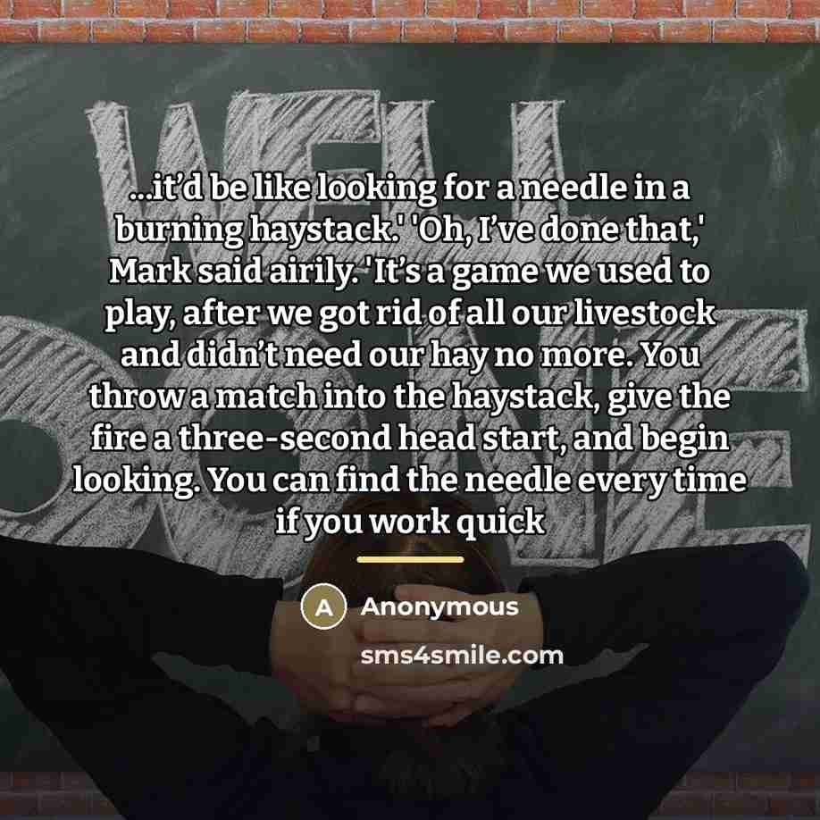 “...it’d be like looking for a needle in a burning…” quote by Anonymous