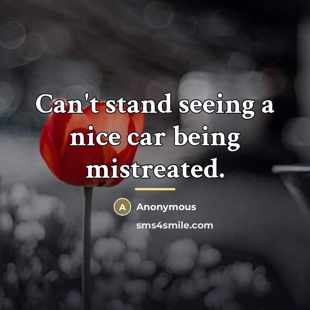 “Can't stand seeing a nice car being mistreated.…” quote by Anonymous
