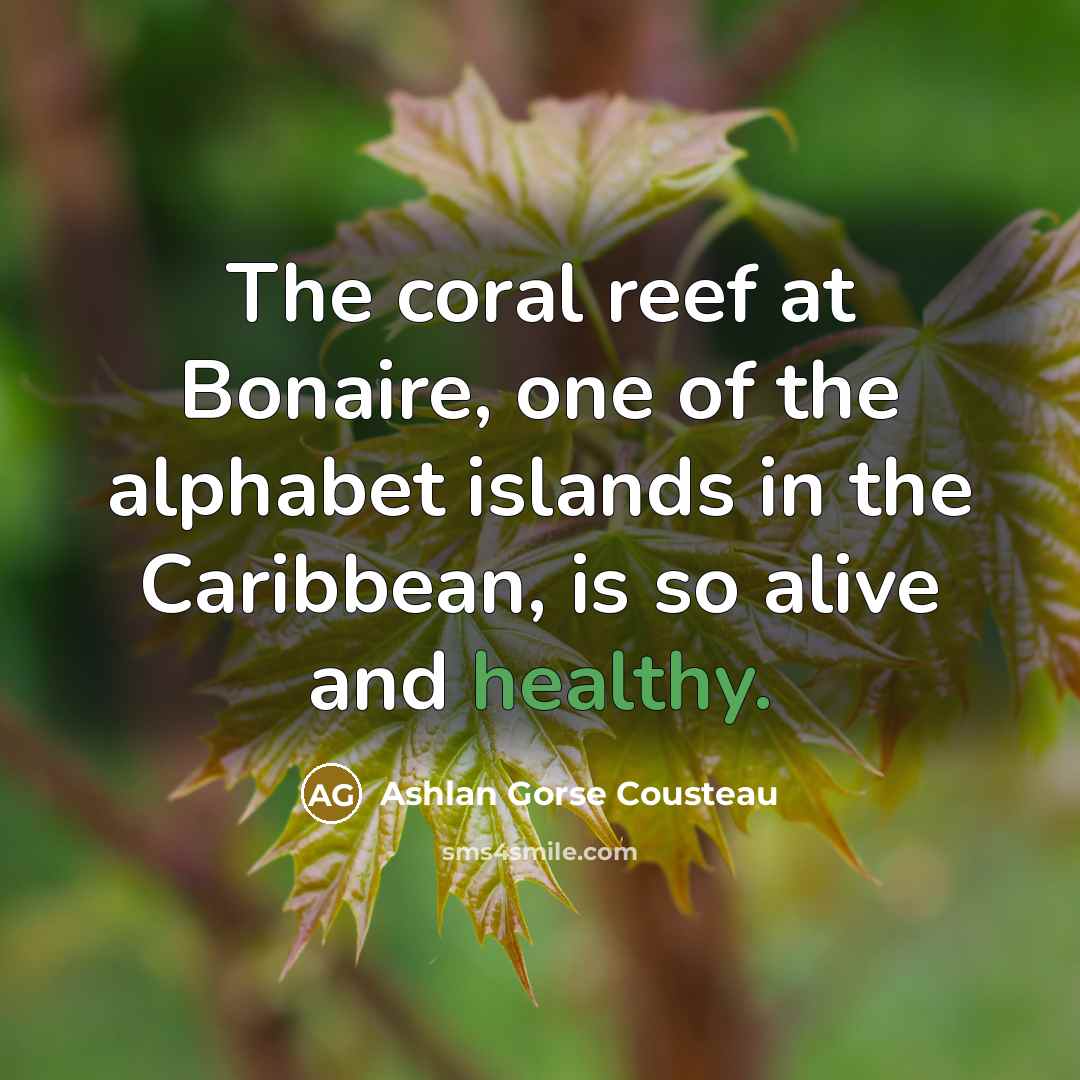 “The coral reef at Bonaire, one of the alphabet islands…” quote by Ashlan Gorse Cousteau