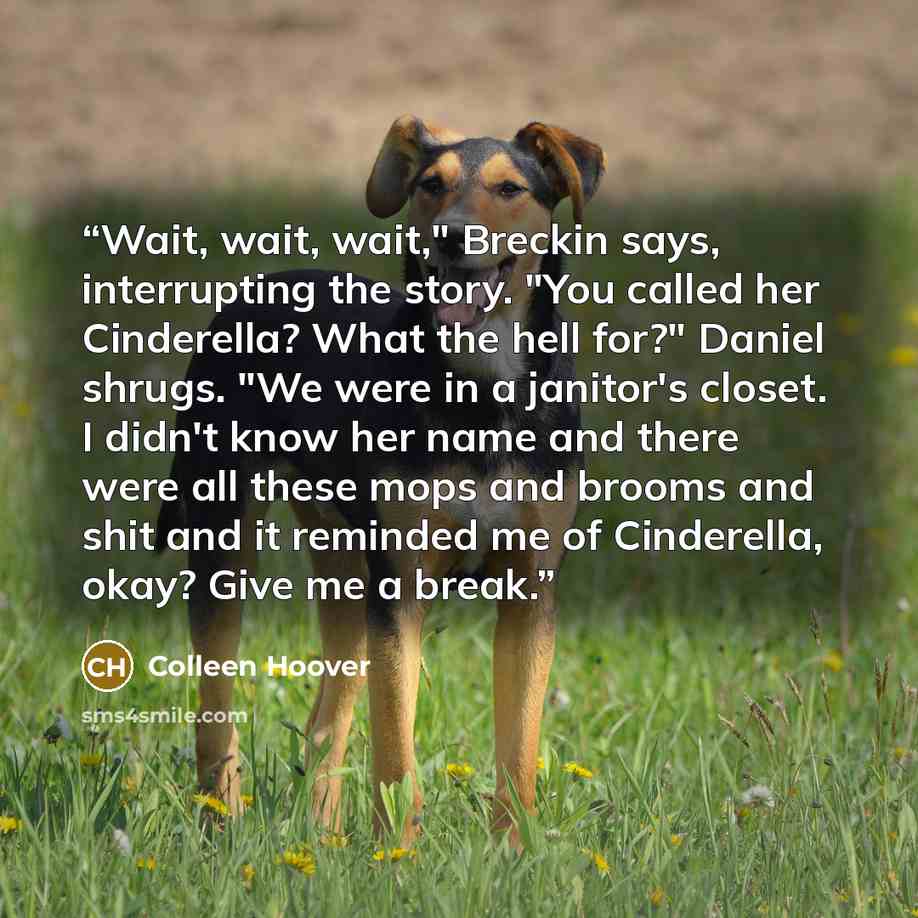“Wait, wait, wait," Breckin says, interrupting the story. "You called her Cinderella? What the hell for?" Daniel shrugs. "We were in a janitor's closet. I didn't know her name and there were all these mops and brooms and shit and it reminded me of Cinderella, okay? Give me a break.” quote by Colleen Hoover