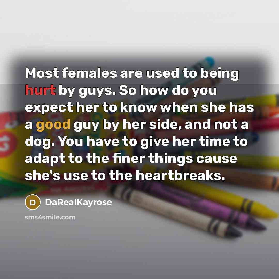 “Most females are used to being hurt by guys. So how do you expect her to know when she has a good guy by her side, and not a dog. You have to give her time to adapt to the finer things cause she's use to the heartbreaks.” quote by DaRealKayrose