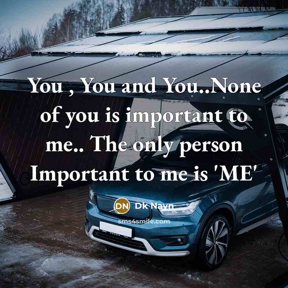 “You , You and You..None of you is important to me.. The only person Important to me is 'ME'” quote by Dk Nayn