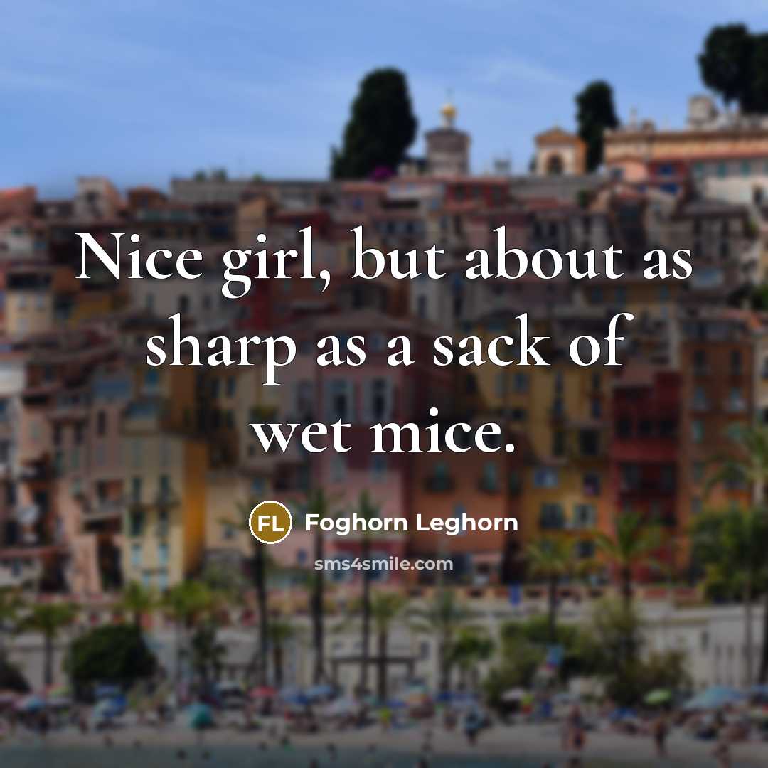 “Nice girl, but about as sharp as a sack of…” quote by Foghorn Leghorn