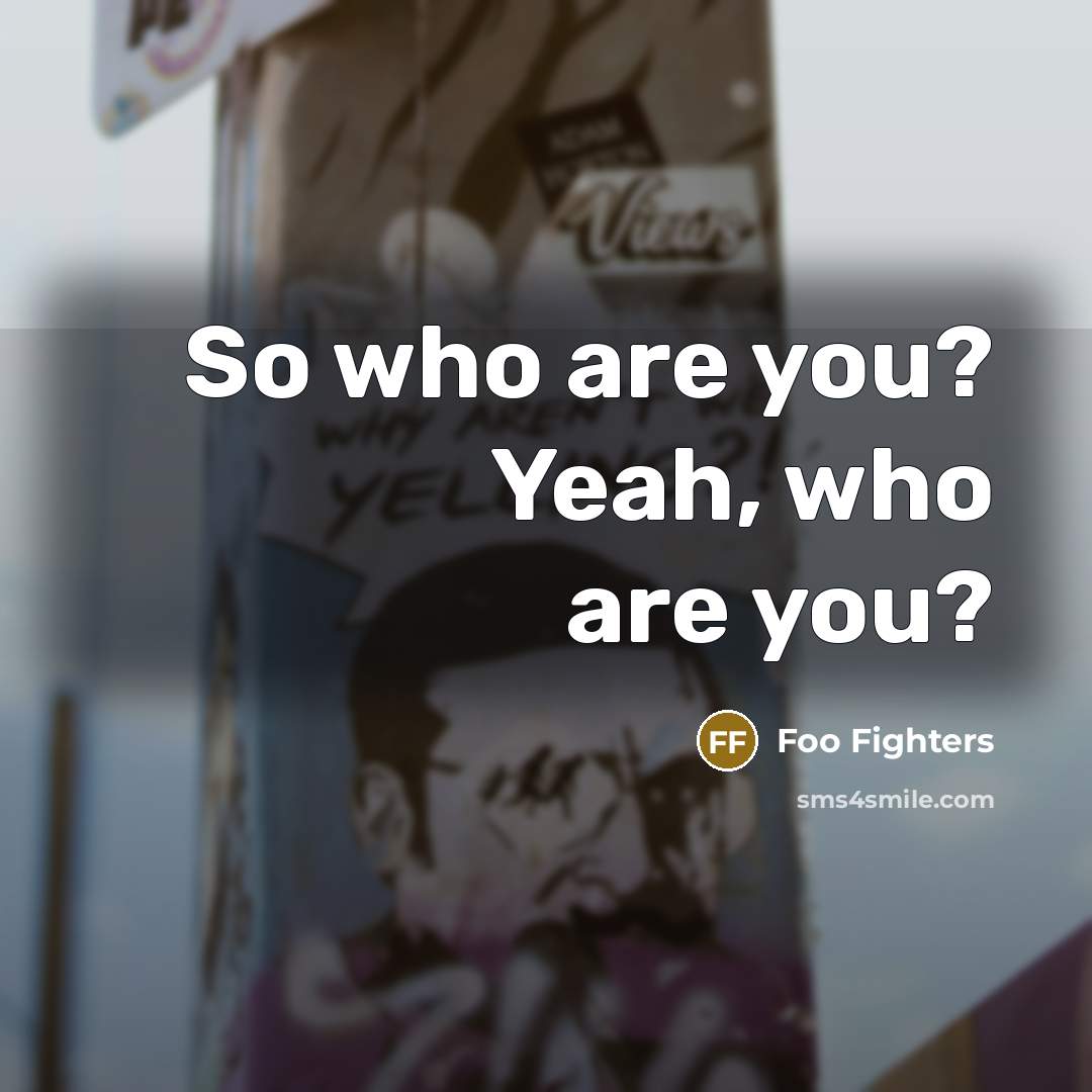 “So who are you? Yeah, who are you?…” quote by Foo Fighters