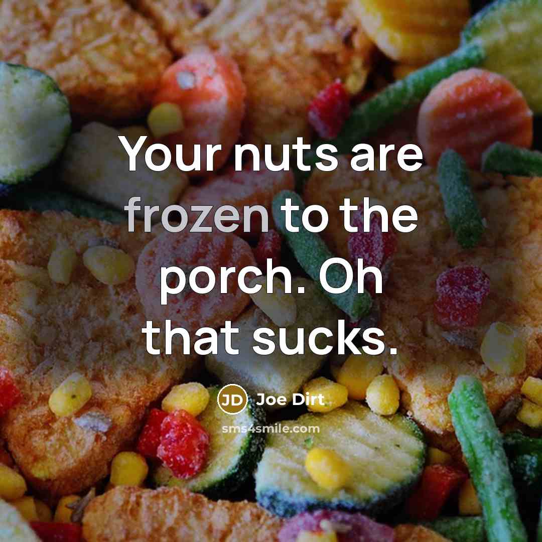 “Your nuts are frozen to the porch. Oh that sucks.…” quote by Joe Dirt