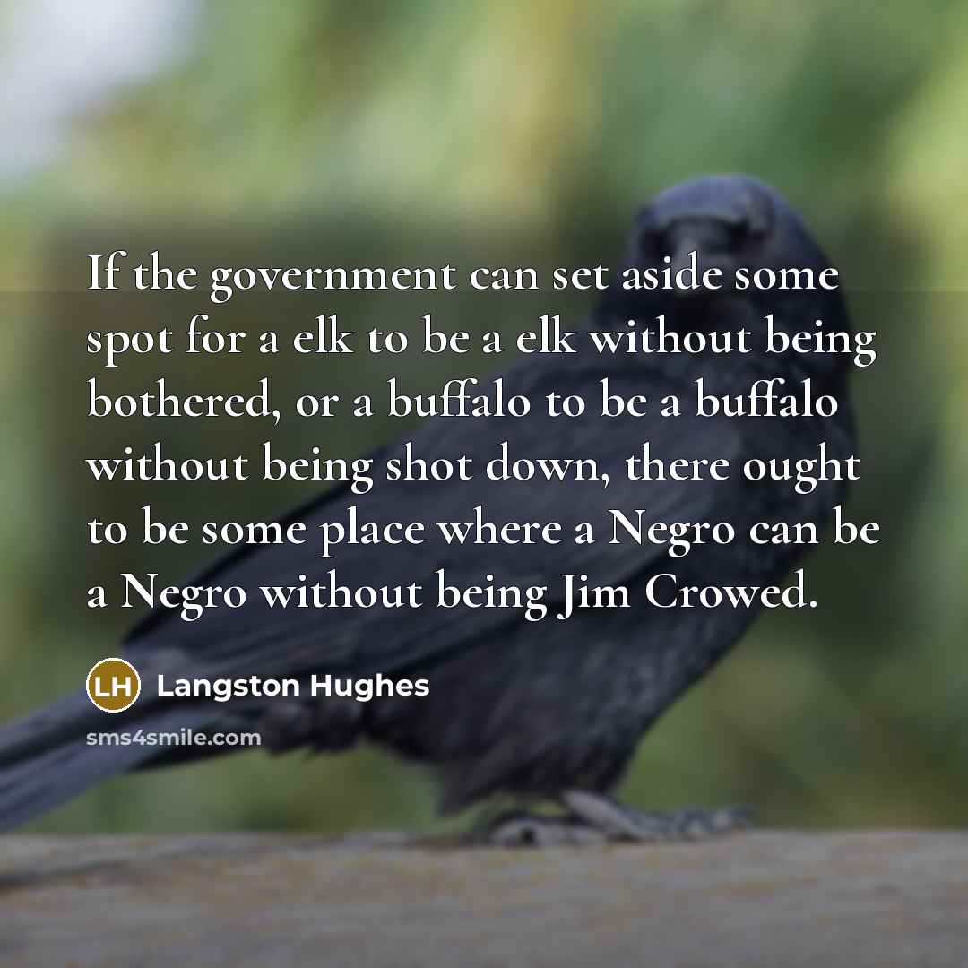 “If the government can set aside some spot for a…” quote by Langston Hughes
