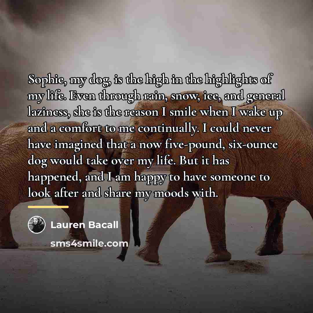 “Sophie, my dog, is the high in the highlights of…” quote by Lauren Bacall