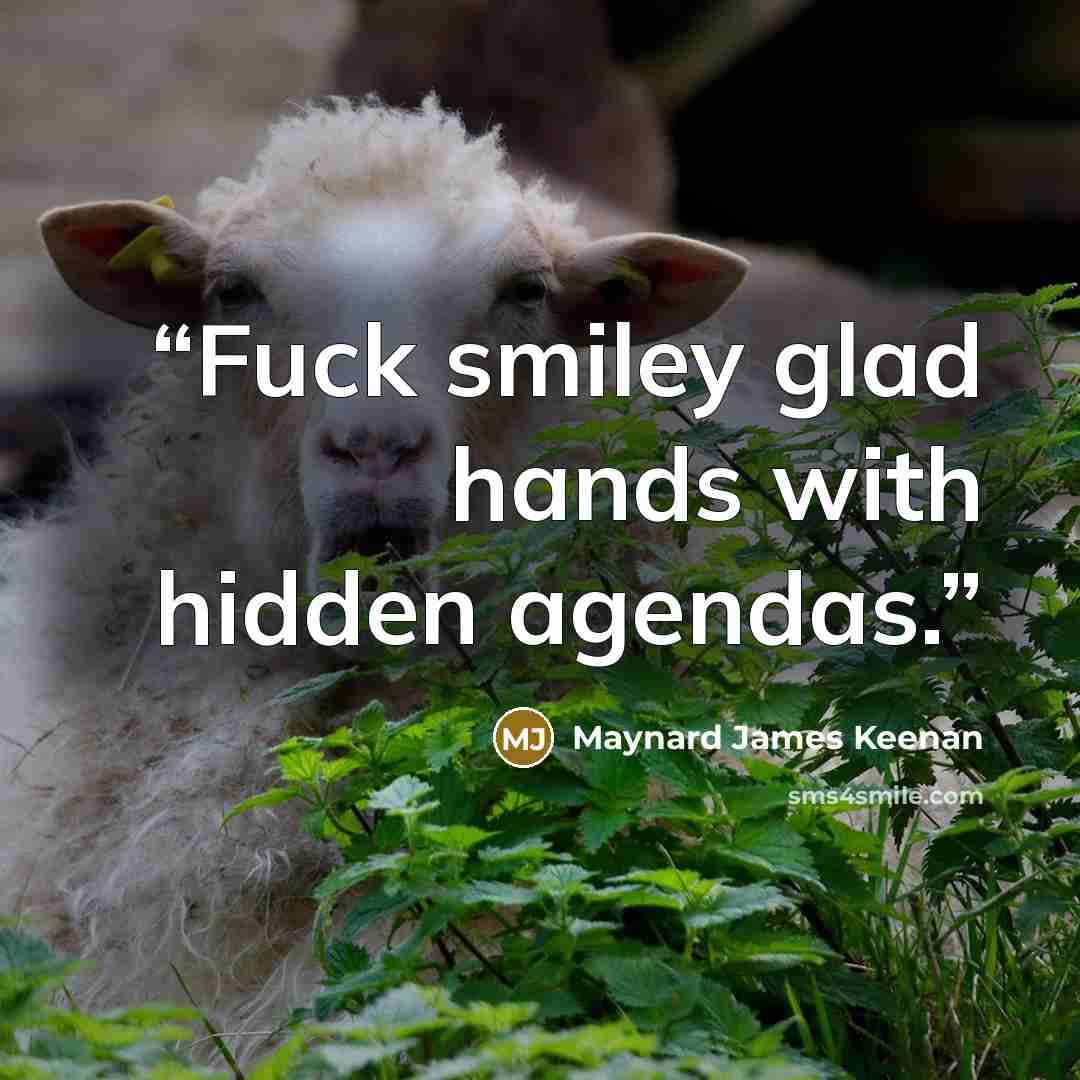 “Fuck smiley glad hands with hidden agendas.” quote by Maynard James Keenan