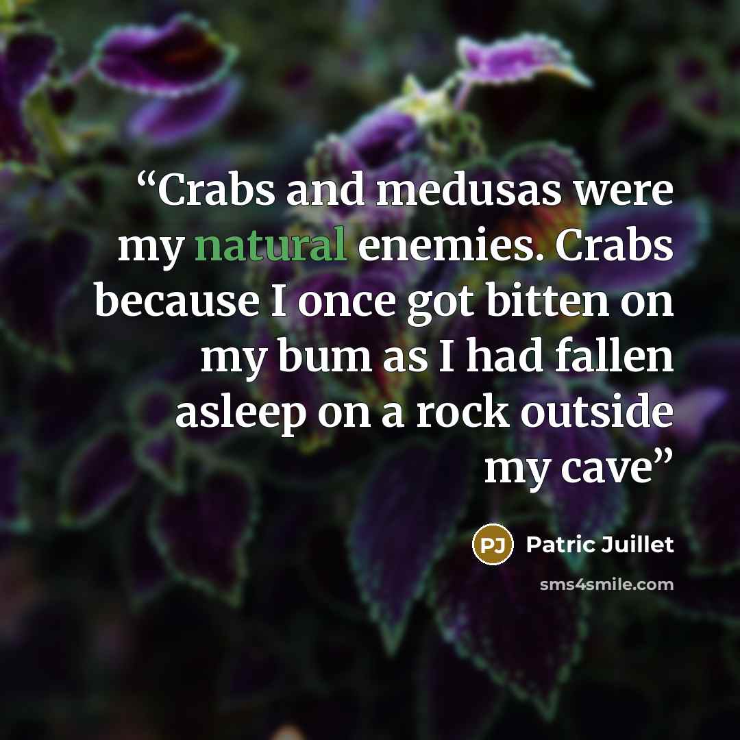 “Crabs and medusas were my natural enemies. Crabs because I once got bitten on my bum as I had fallen asleep on a rock outside my cave” quote by Patric Juillet