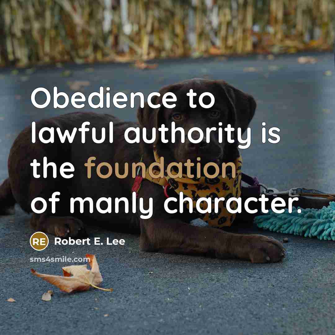 “Obedience to lawful authority is the foundation of manly character.…” quote by Robert E. Lee