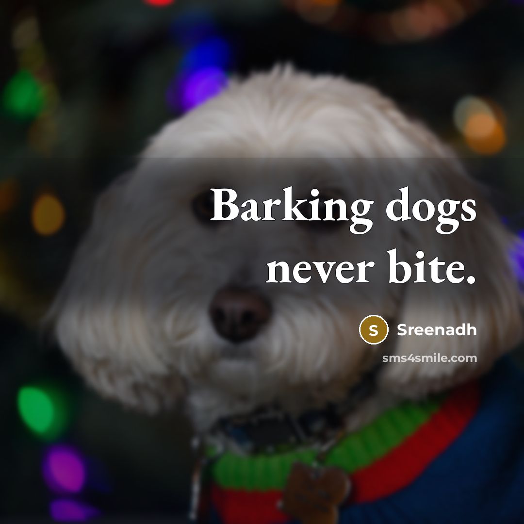 “Barking dogs never bite.” quote by Sreenadh