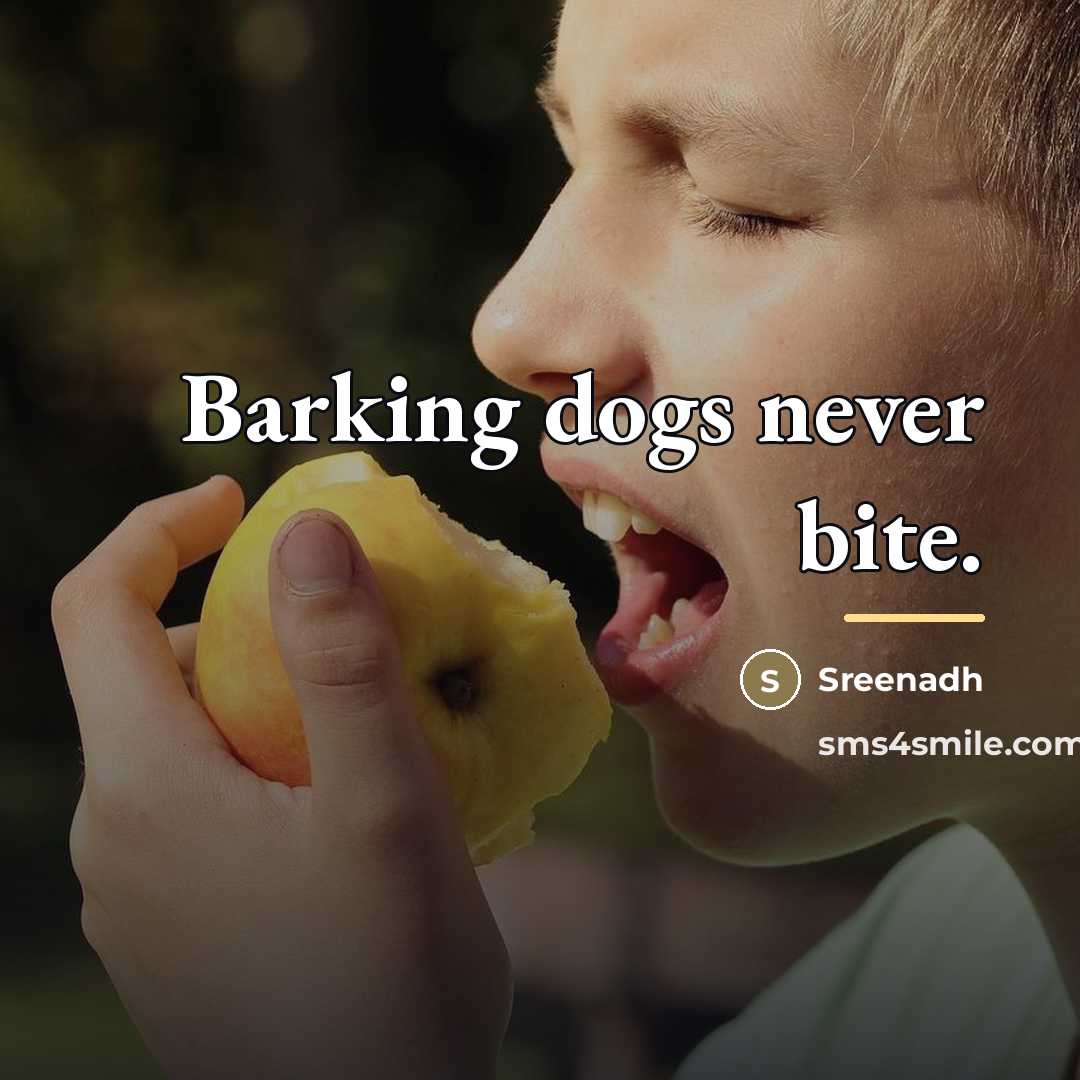 “Barking dogs never bite.…” quote by Sreenadh