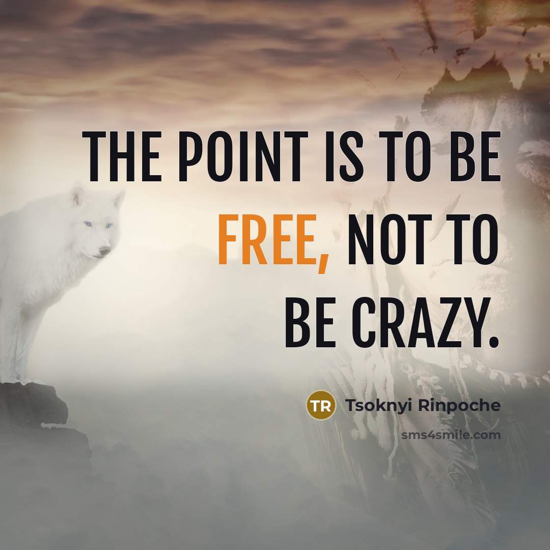 “The point is to be free, not to be crazy.…” quote by Tsoknyi Rinpoche