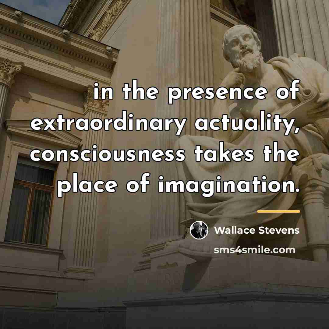 “in the presence of extraordinary actuality, consciousness takes the place…” quote by Wallace Stevens