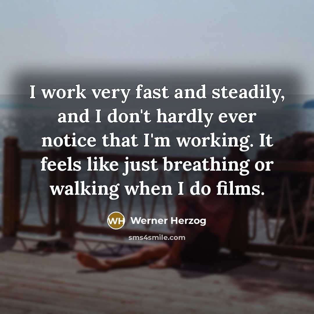 “I work very fast and steadily, and I don't hardly…” quote by Werner Herzog