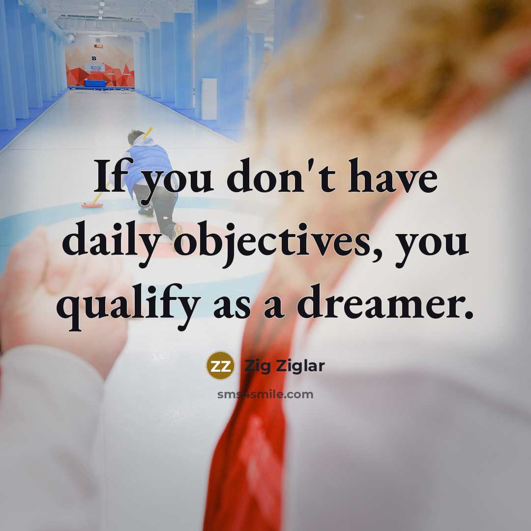 “If you don't have daily objectives, you qualify as a…” quote by Zig Ziglar