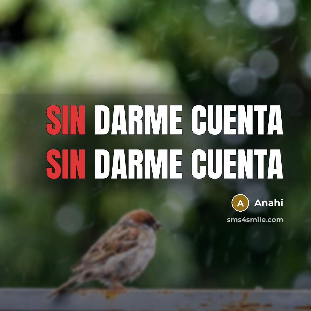 “Sin darme cuenta sin darme cuenta” quote by Anahi