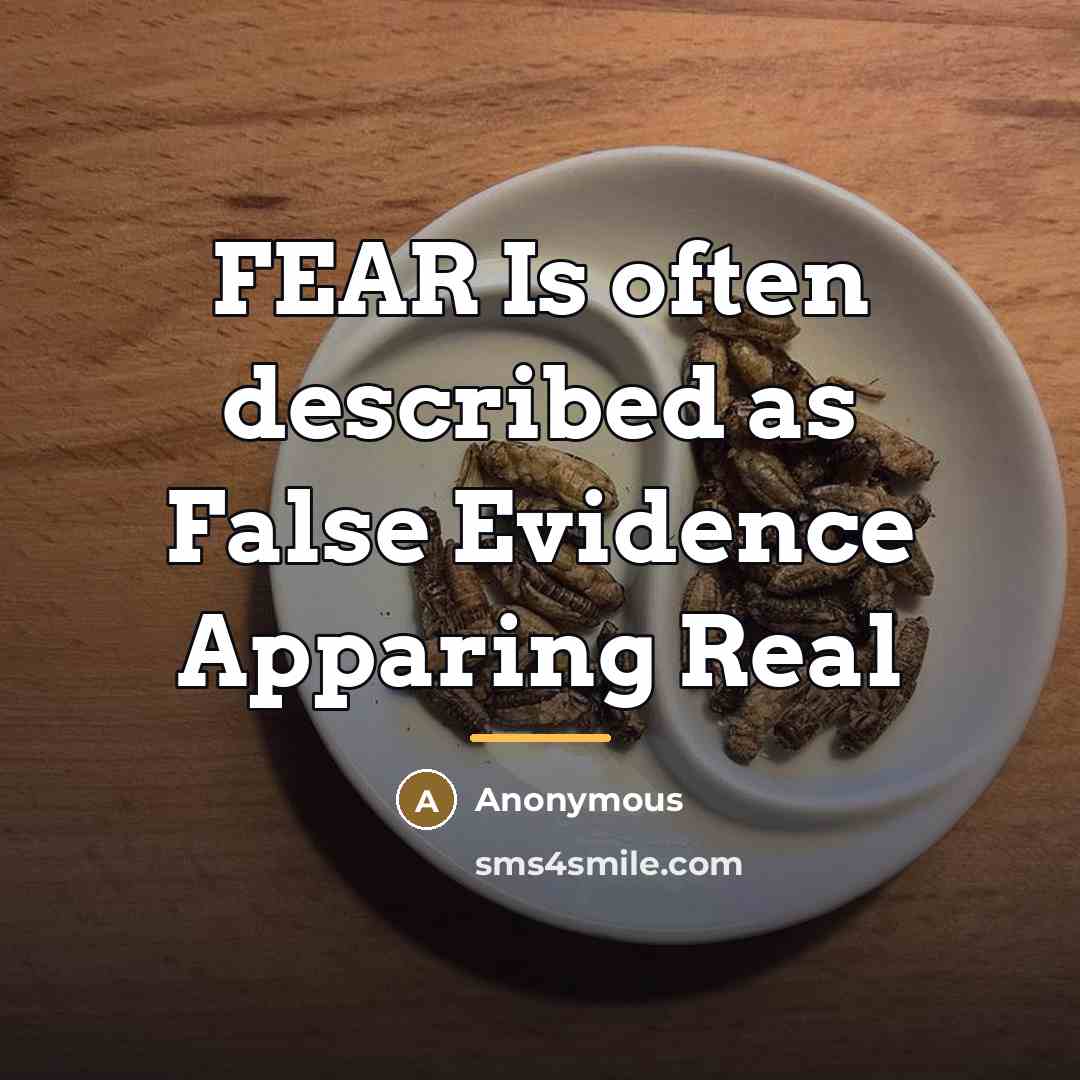 “FEAR Is often described as False Evidence Apparing Real…” quote by Anonymous