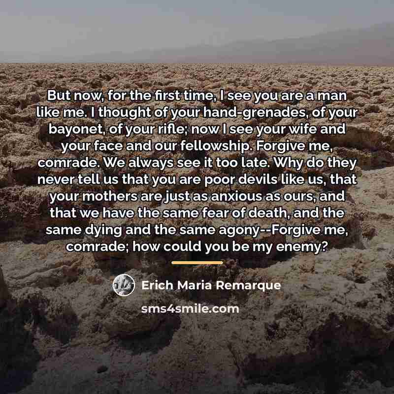 “But now, for the first time, I see you are…” quote by Erich Maria Remarque