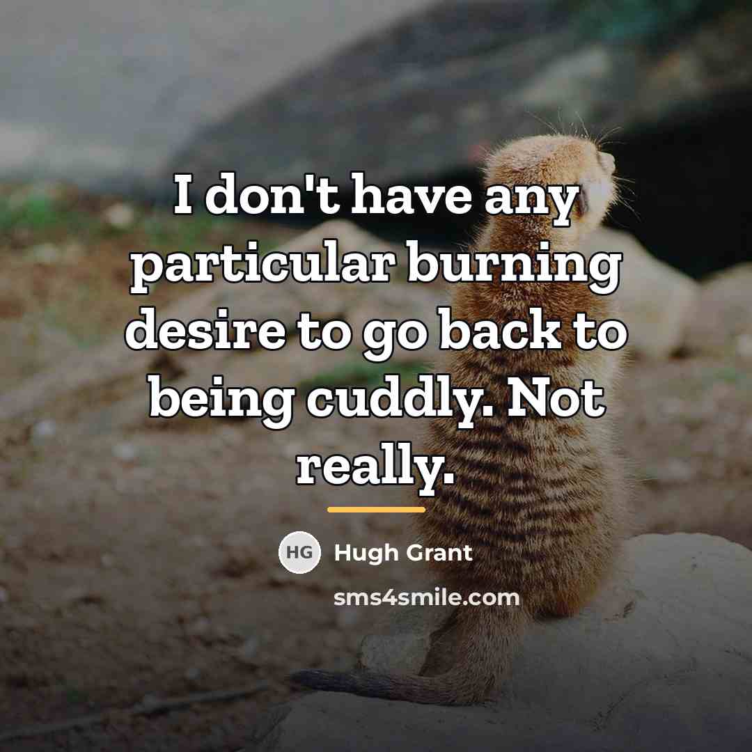 “I don't have any particular burning desire to go back…” quote by Hugh Grant