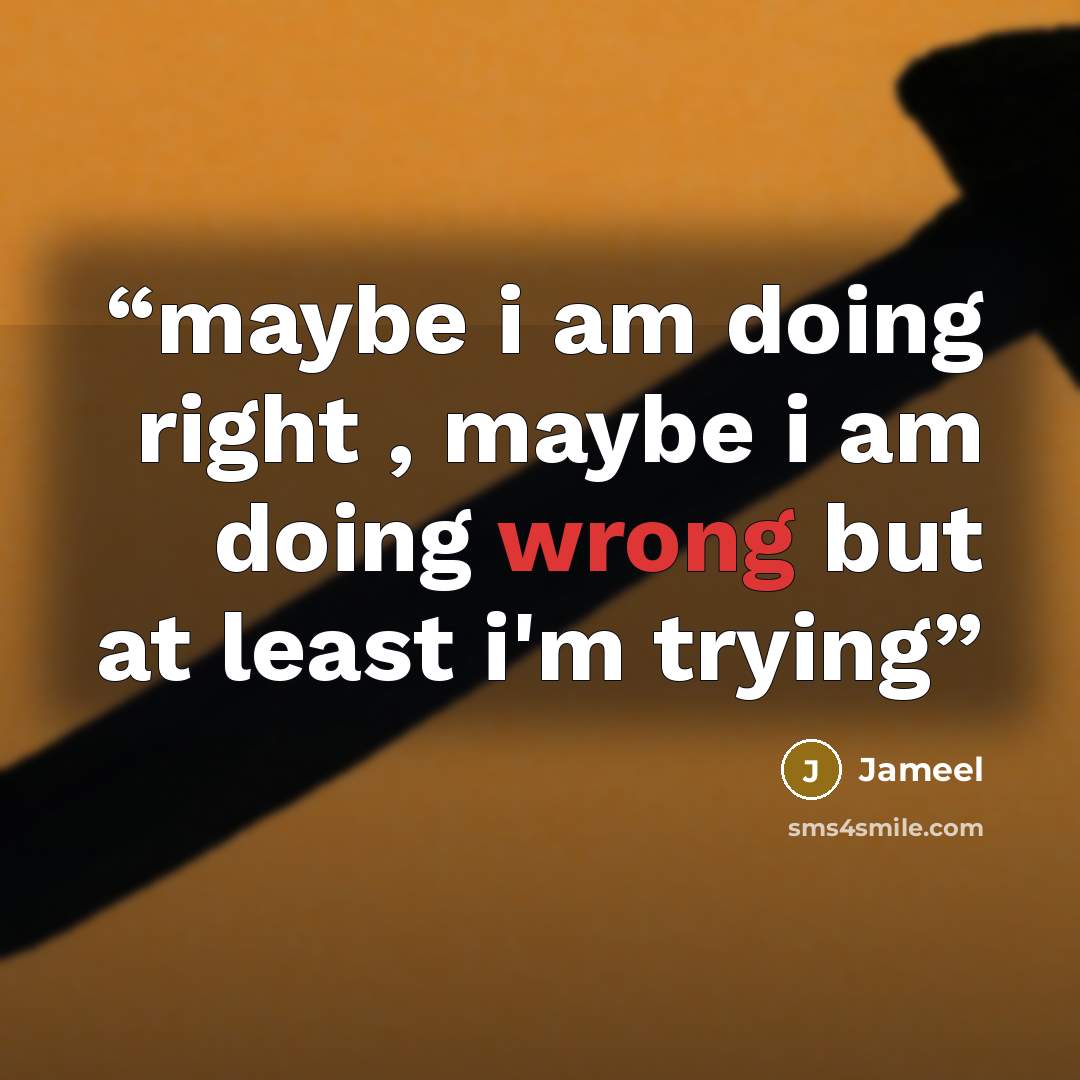 “maybe i am doing right , maybe i am doing wrong but at least i'm trying” quote by Jameel