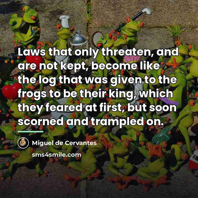 “Laws that only threaten, and are not kept, become like…” quote by Miguel de Cervantes