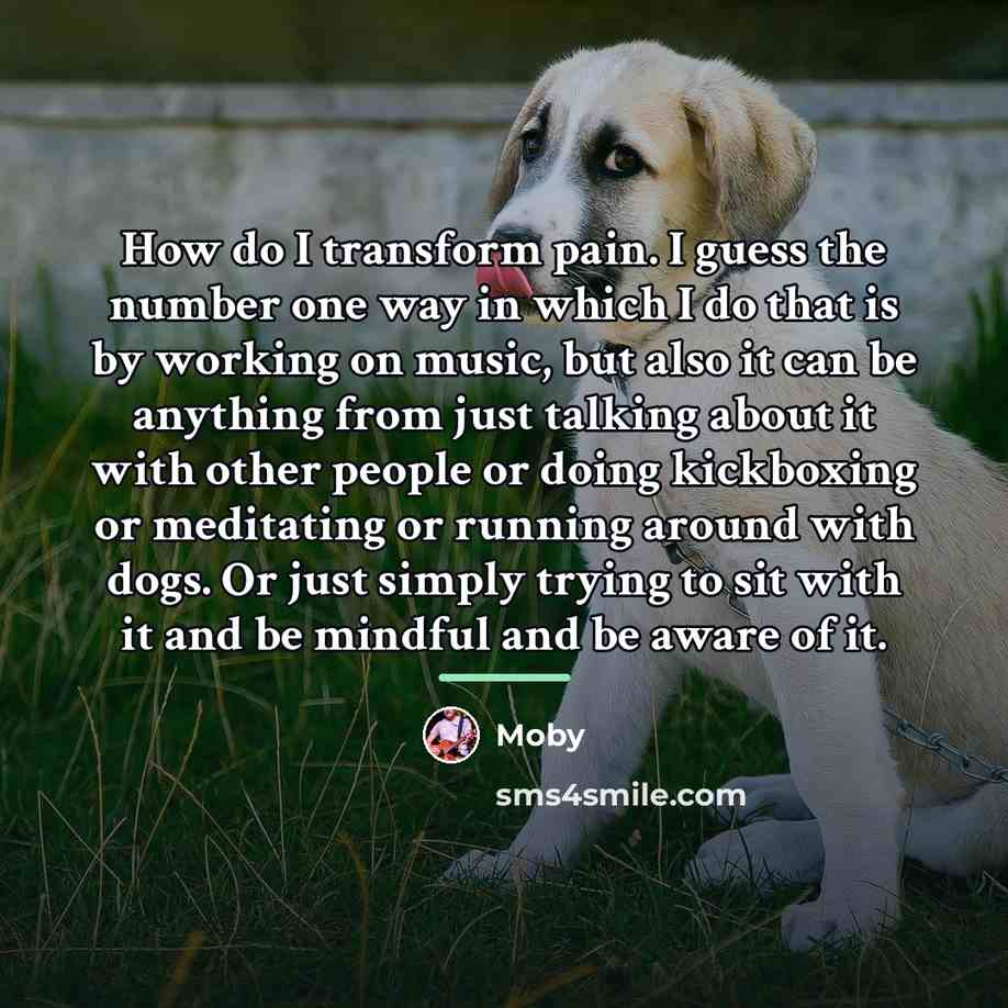 “How do I transform pain. I guess the number one…” quote by Moby