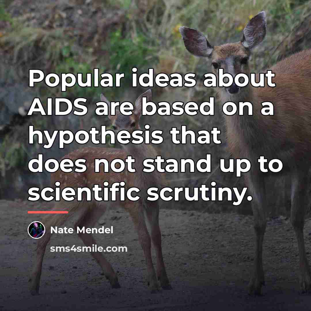 “Popular ideas about AIDS are based on a hypothesis that…” quote by Nate Mendel
