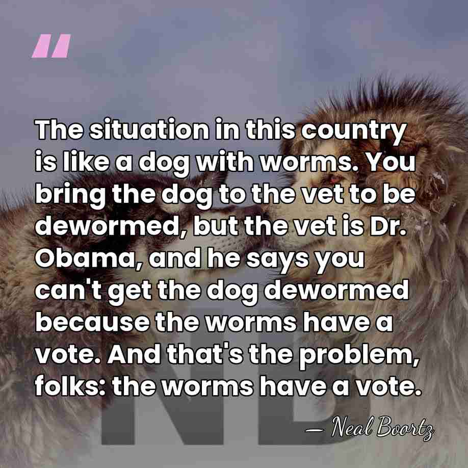 The situation in this country is like a dog with worms. You&hellip; - Neal Boortz