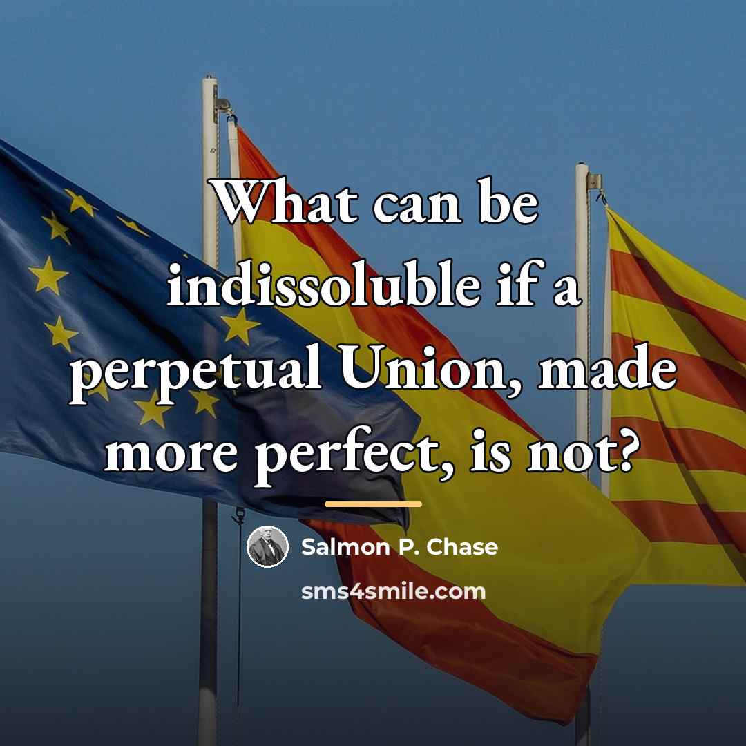 “What can be indissoluble if a perpetual Union, made more…” quote by Salmon P. Chase