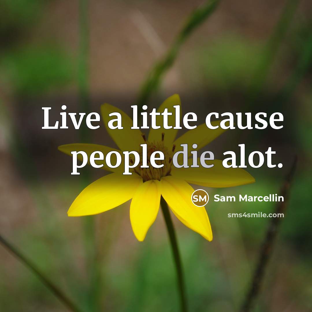 “Live a little cause people die alot.…” quote by Sam Marcellin