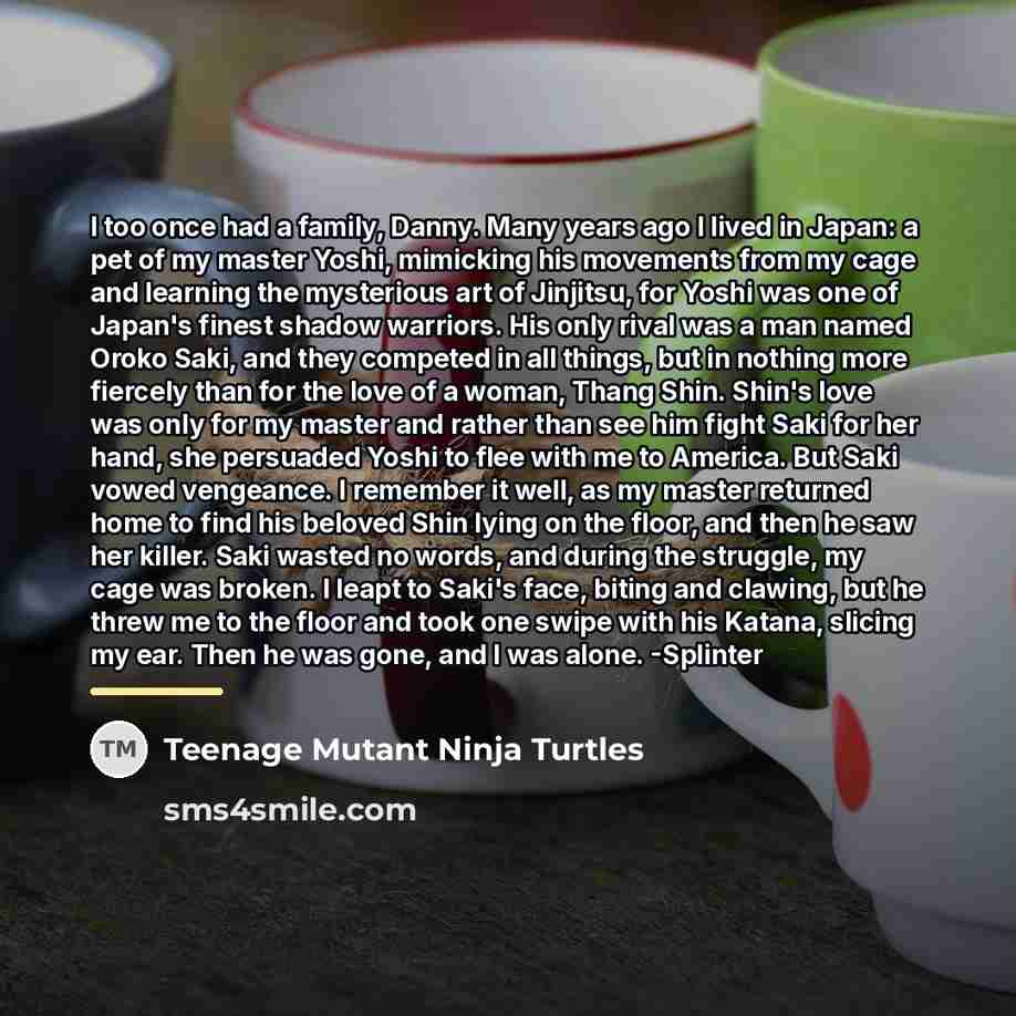 “I too once had a family, Danny. Many years ago…” quote by Teenage Mutant Ninja Turtles
