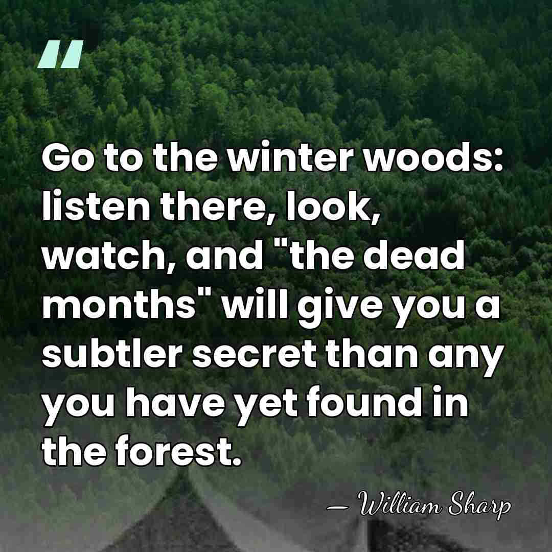 Go to the winter woods: listen there, look, watch, and "the dead&hellip; - William Sharp