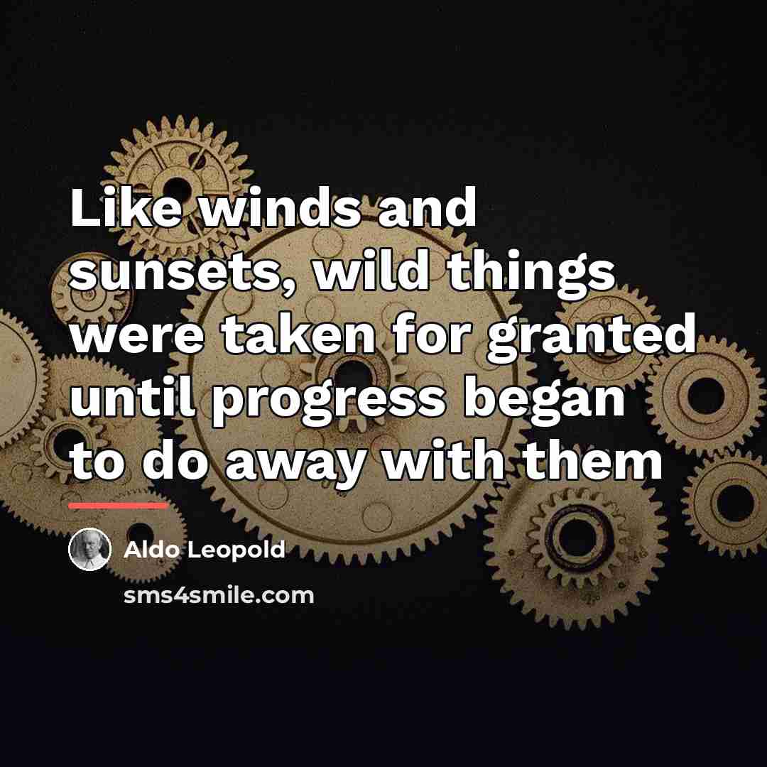 “Like winds and sunsets, wild things were taken for granted…” quote by Aldo Leopold