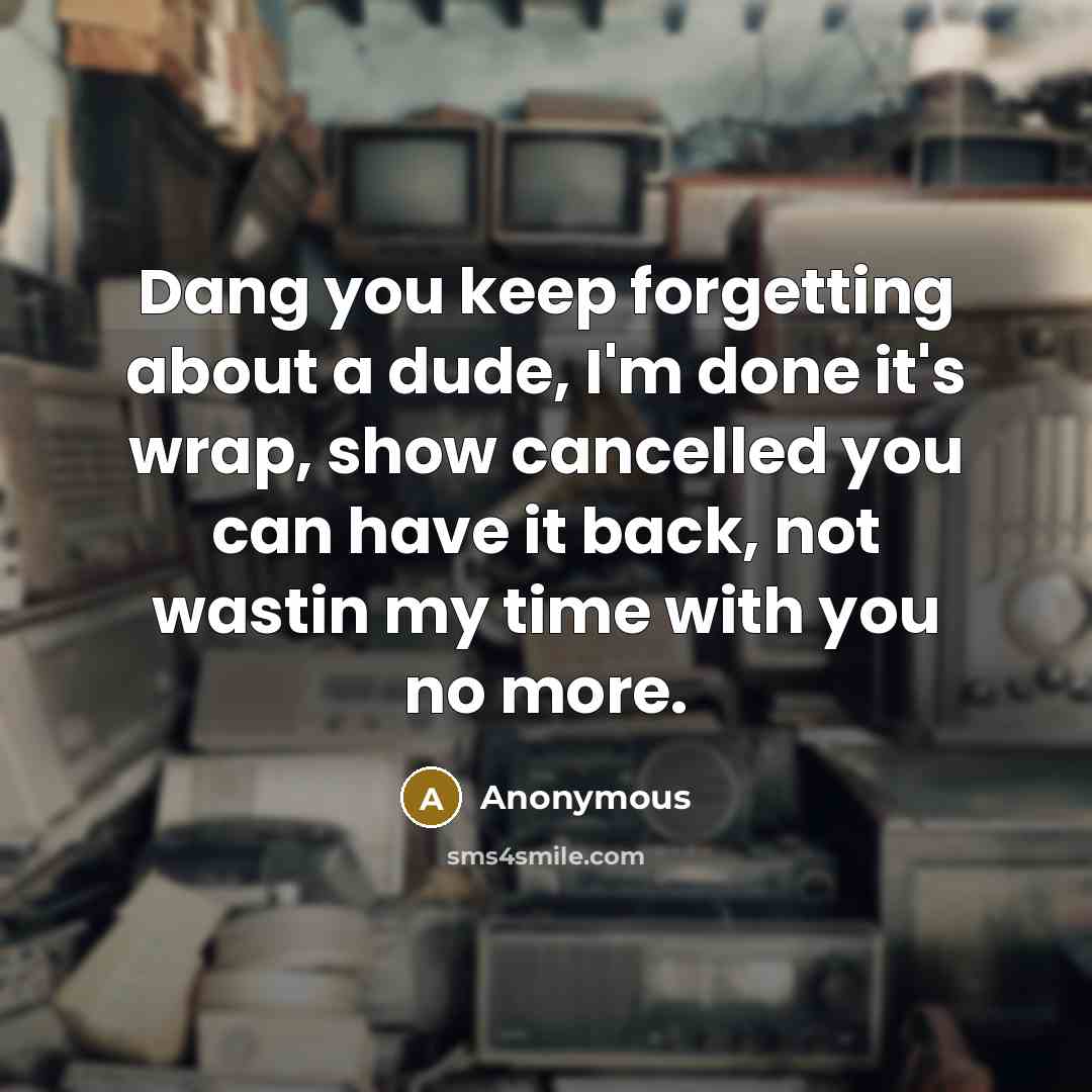 “Dang you keep forgetting about a dude, I'm done it's wrap, show cancelled you can have it back, not wastin my time with you no more.” quote by Anonymous