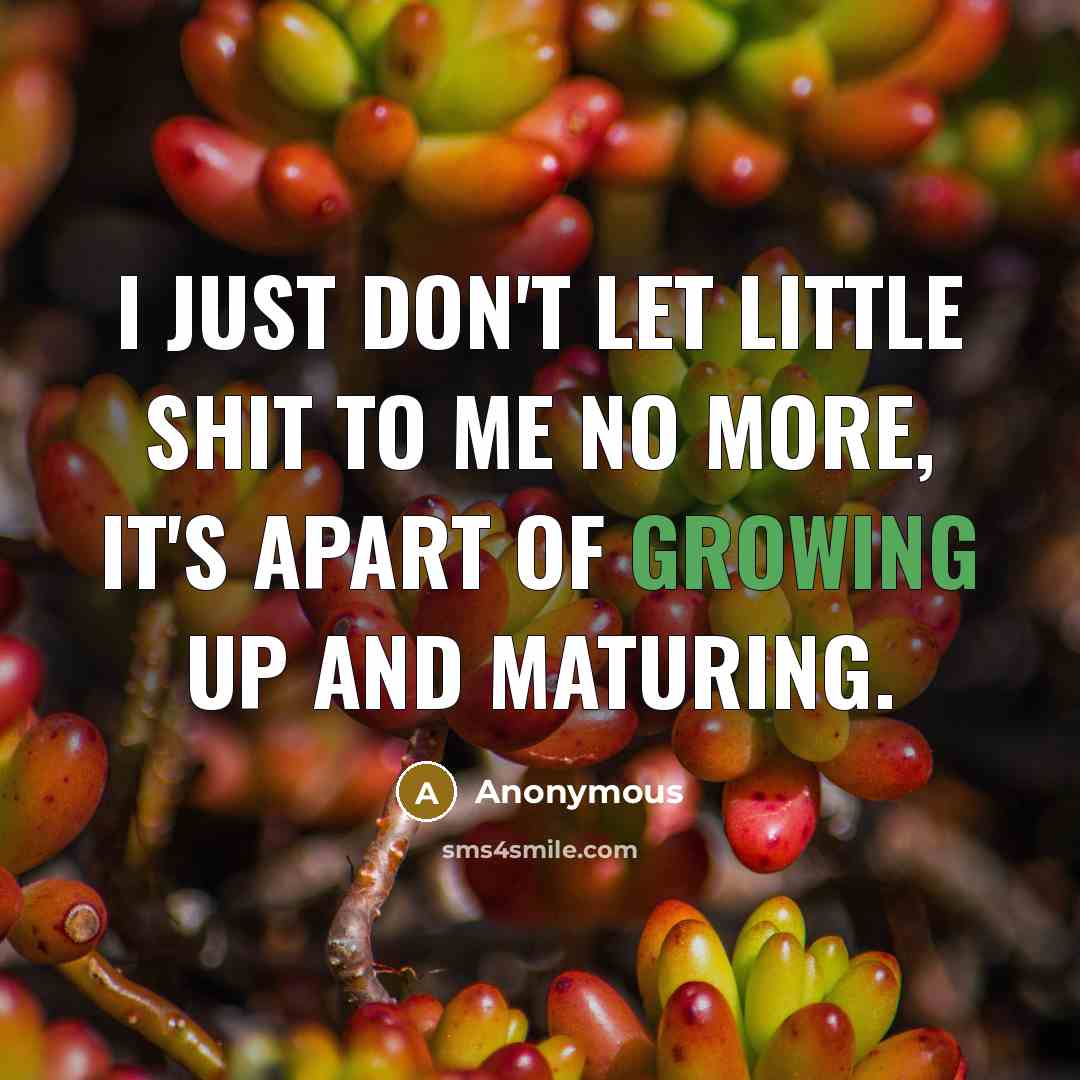 “I just don't let little shit to me no more,…” quote by Anonymous