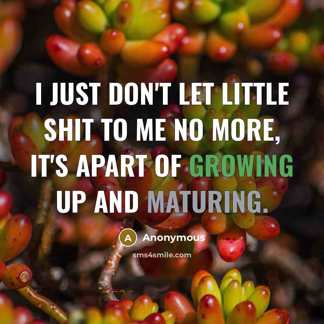 “I just don't let little shit to me no more, it's apart of growing up and maturing.” quote by Anonymous