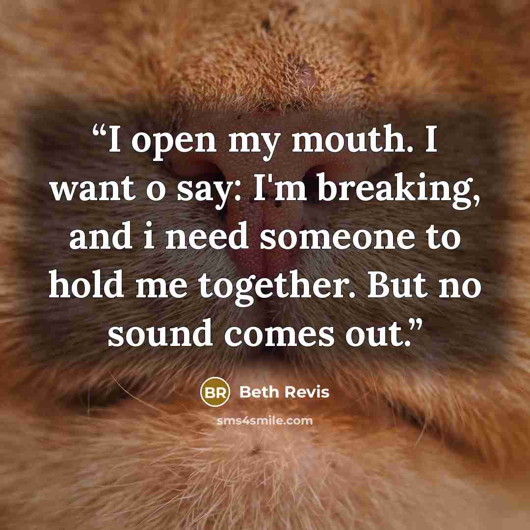 “I open my mouth. I want o say: I'm breaking, and i need someone to hold me together. But no sound comes out.” quote by Beth Revis