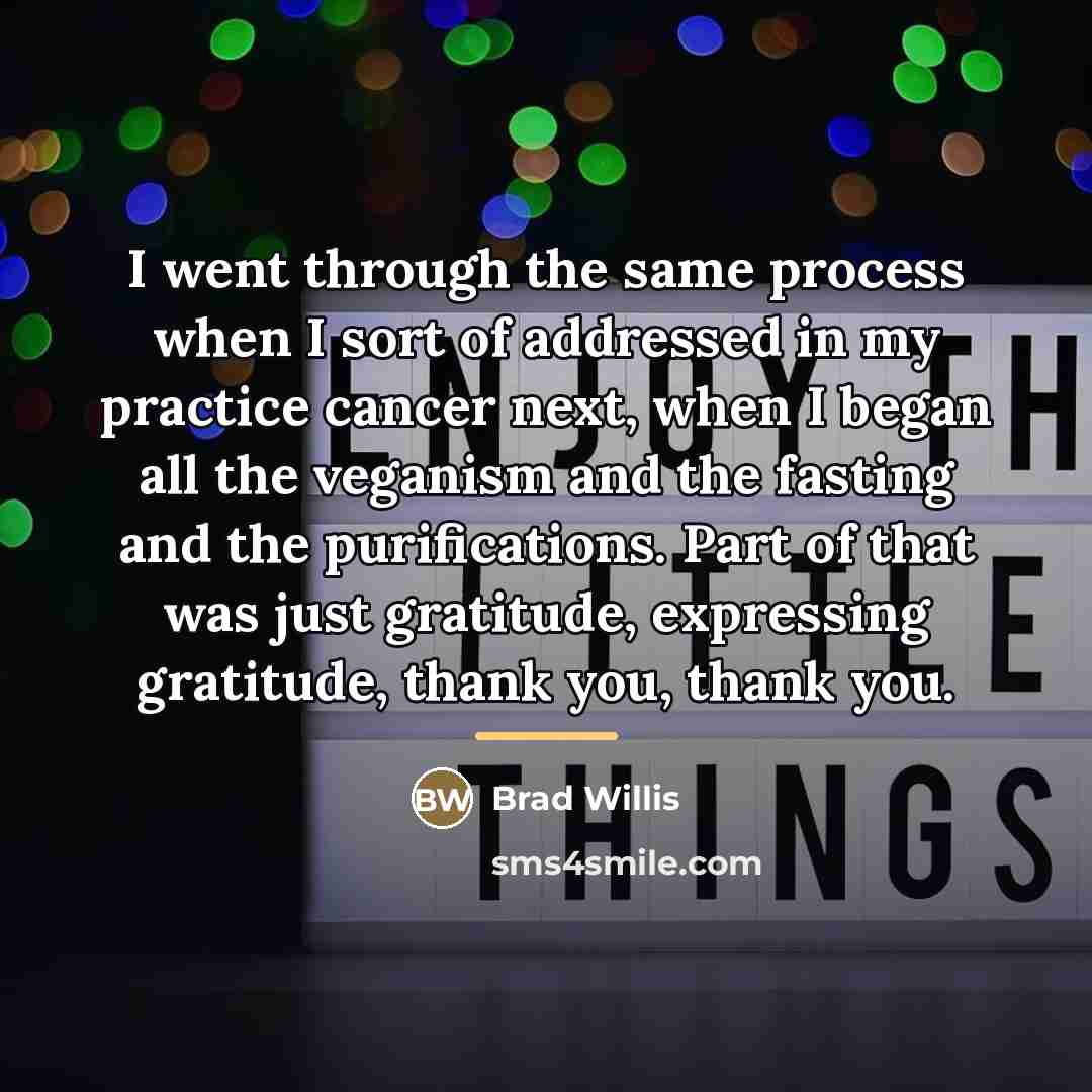 “I went through the same process when I sort of…” quote by Brad Willis