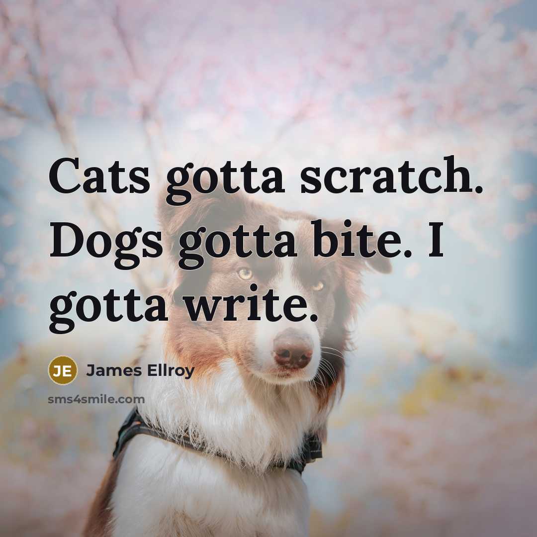 “Cats gotta scratch. Dogs gotta bite. I gotta write.…” quote by James Ellroy
